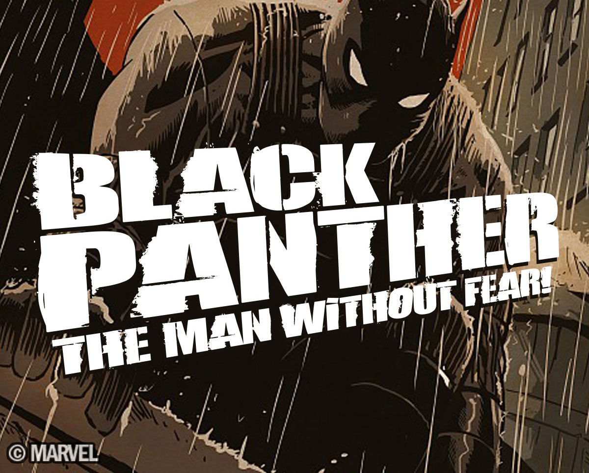 Black Panther: The Man Without Fear